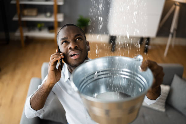Best Water damage restoration near me  in Plainsboro Center, NJ