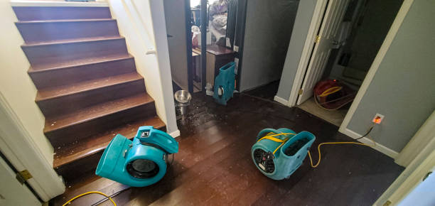 Best Fire Damage Restoration  in Plainsboro Center, NJ