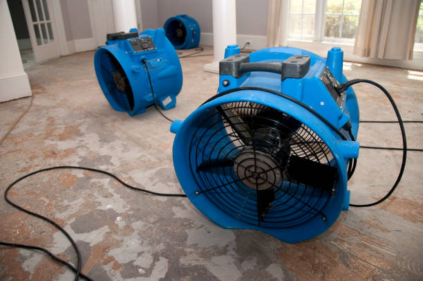 Best Water damage contractors near me  in Plainsboro Center, NJ