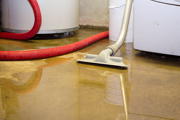 Best Ceiling water damage repair  in Plainsboro Center, NJ