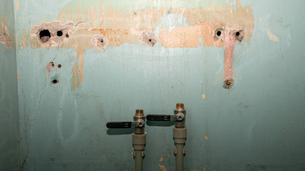 Best Sewage cleanup and water damage restoration  in Plainsboro Center, NJ
