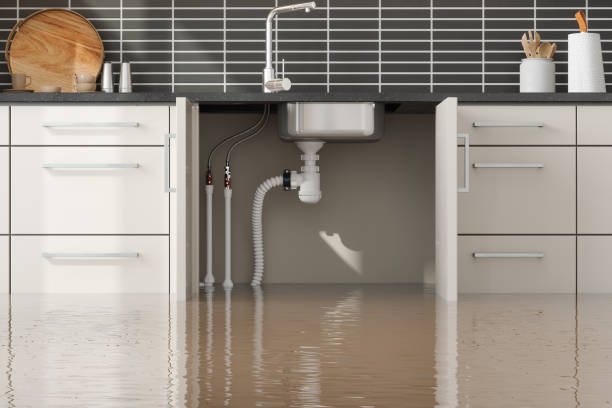 Best 24/7 water damage repair  in Plainsboro Center, NJ