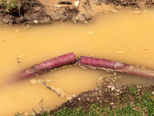 Best Water damage contractors near me  in Plainsboro Center, NJ