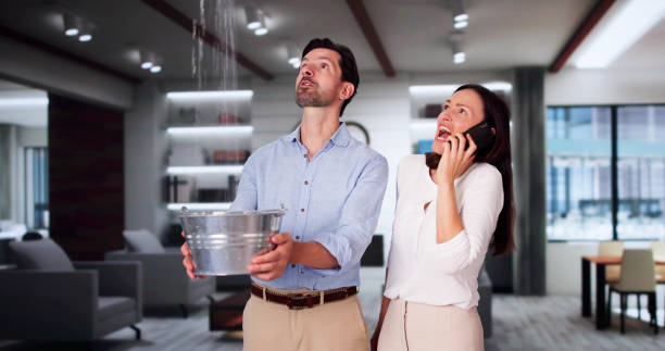 Best Water damage restoration near me  in Plainsboro Center, NJ